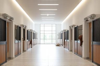 Clean and well-organized horse stable.